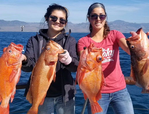 Morro Bay Sportfishing Charters